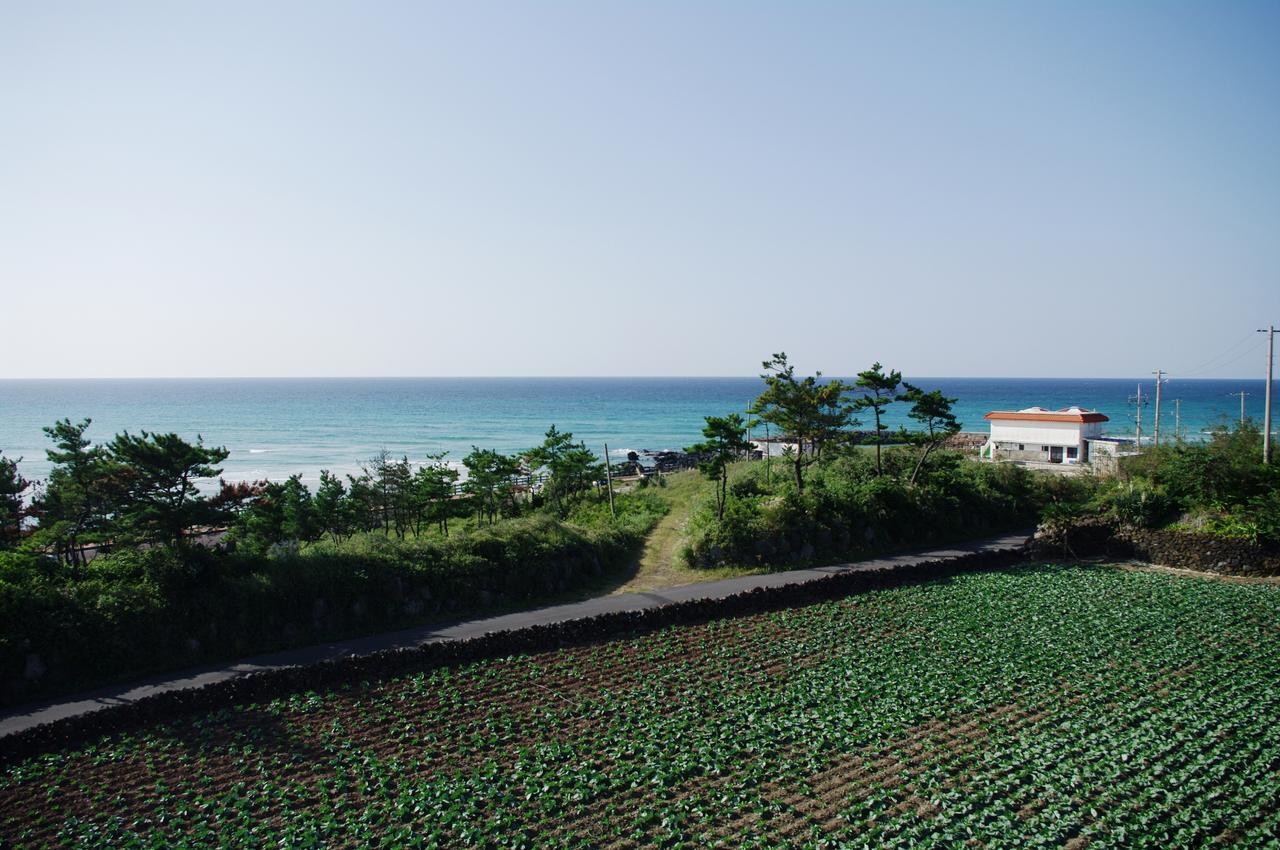 6Pm Pension Jeju Exterior photo